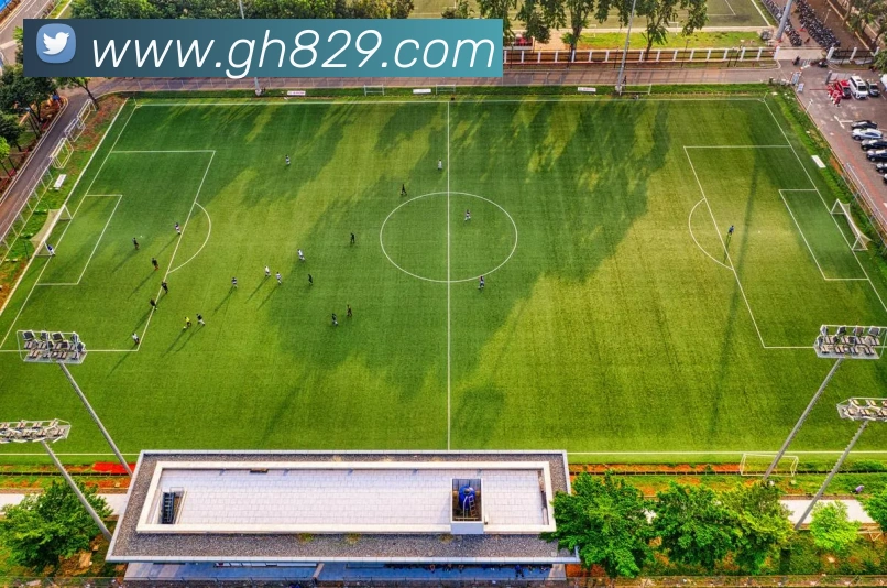公海赌船ghAPP 封面图